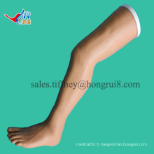 ISO Vivid Suturing Practice leg model, Surgical Suture Models